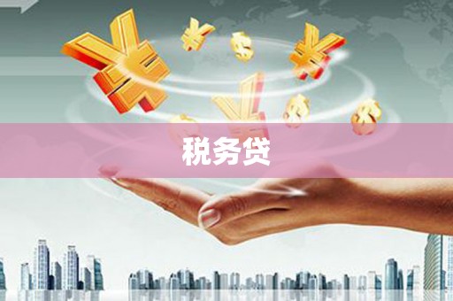 共和税务贷