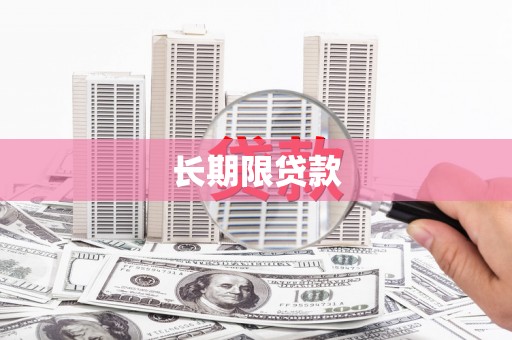 共和长期限贷款