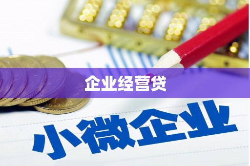 共和企业经营贷