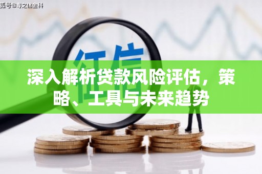 共和深入解析贷款风险评估，策略、工具与未来趋势