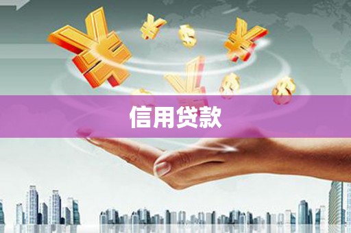 共和信用贷款