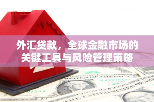 共和外汇贷款，全球金融市场的关键工具与风险管理策略