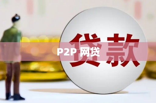共和P2P 网贷