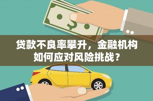 共和贷款不良率攀升，金融机构如何应对风险挑战？