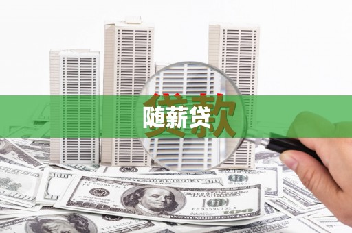 共和随薪贷