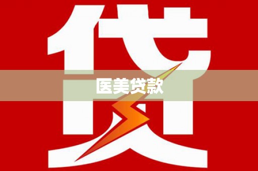 共和医美贷款
