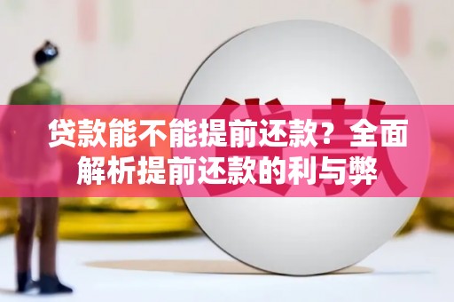 共和贷款能不能提前还款？全面解析提前还款的利与弊