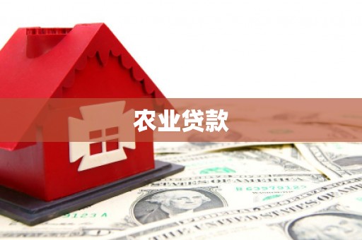 共和农业贷款