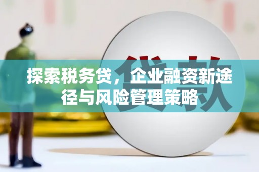 共和探索税务贷，企业融资新途径与风险管理策略