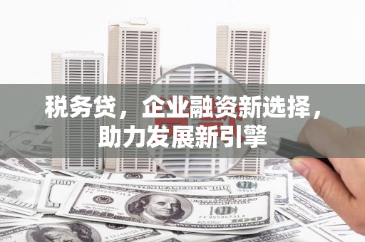 共和税务贷，企业融资新选择，助力发展新引擎