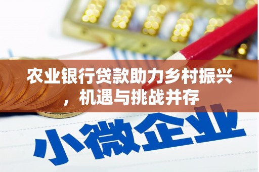 共和农业银行贷款助力乡村振兴，机遇与挑战并存