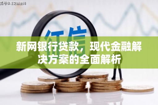 共和新网银行贷款，现代金融解决方案的全面解析