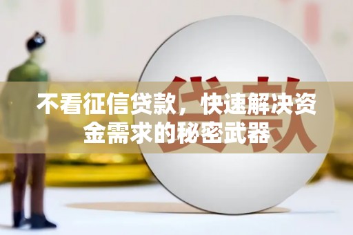 共和不看征信贷款，快速解决资金需求的秘密武器