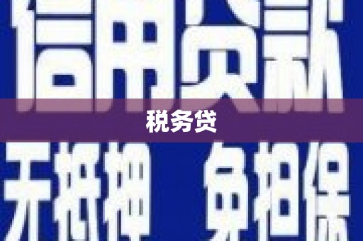 共和税务贷