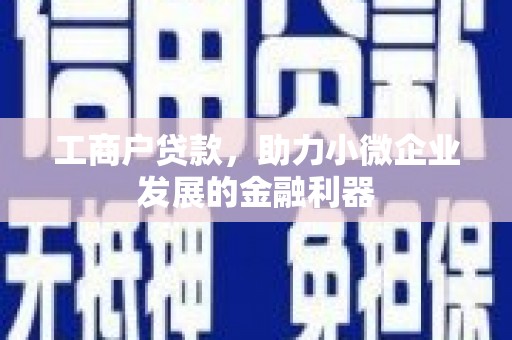 共和工商户贷款，助力小微企业发展的金融利器