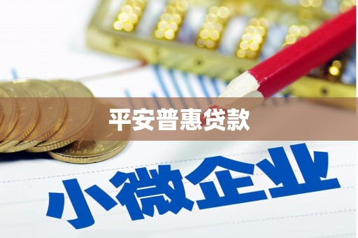 共和平安普惠贷款