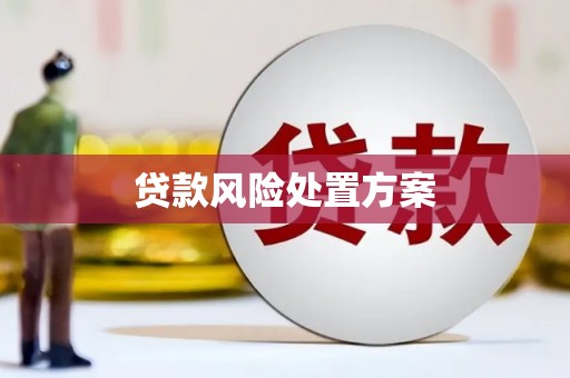 共和贷款风险处置方案