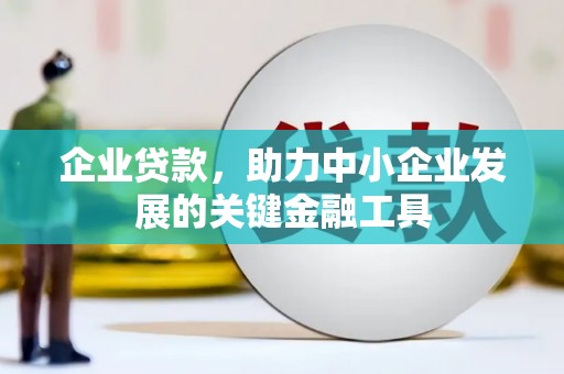 共和企业贷款，助力中小企业发展的关键金融工具