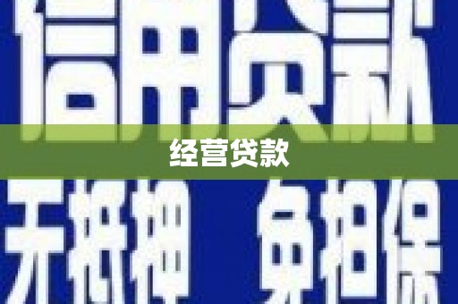 共和经营贷款