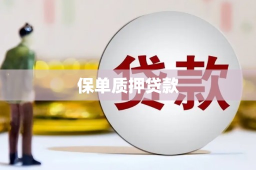 共和保单质押贷款