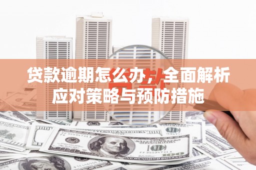共和贷款逾期怎么办，全面解析应对策略与预防措施