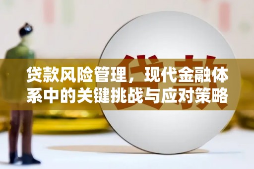 共和贷款风险管理，现代金融体系中的关键挑战与应对策略