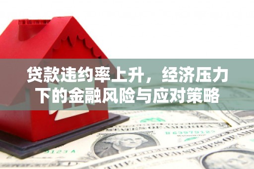 共和贷款违约率上升，经济压力下的金融风险与应对策略