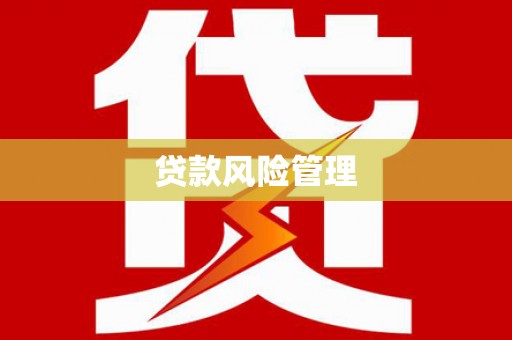 共和贷款风险管理