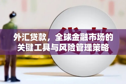 共和外汇贷款，全球金融市场的关键工具与风险管理策略