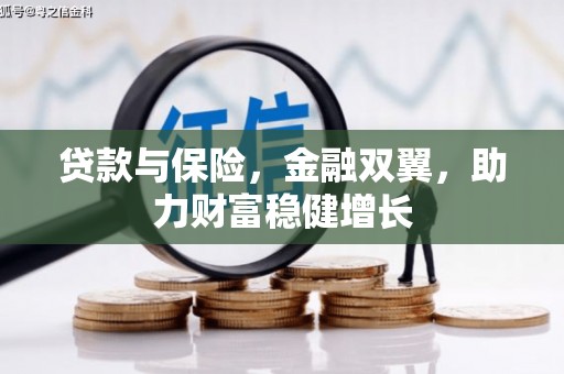 共和贷款与保险，金融双翼，助力财富稳健增长