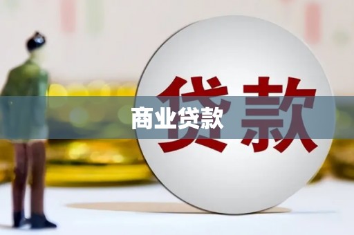 共和商业贷款