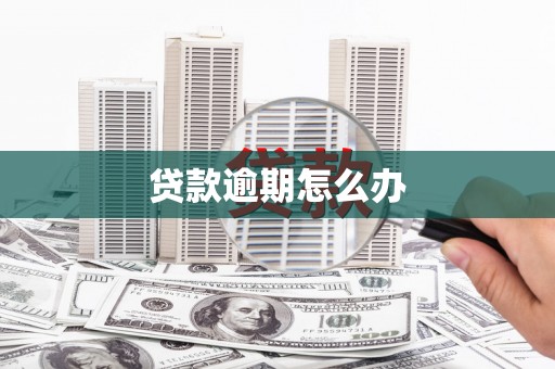 共和贷款逾期怎么办