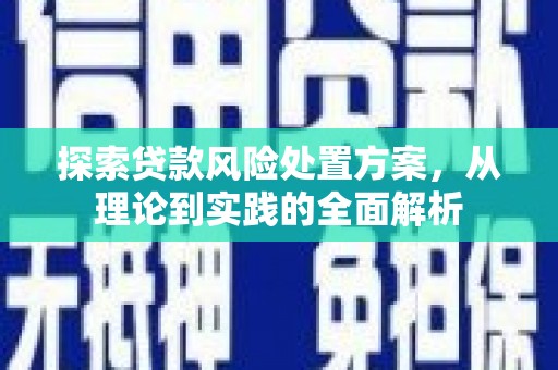 共和探索贷款风险处置方案，从理论到实践的全面解析
