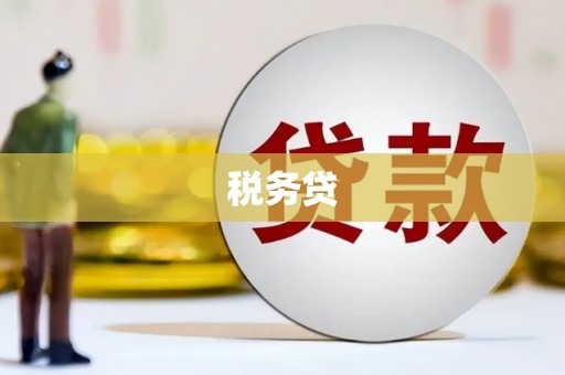 共和税务贷