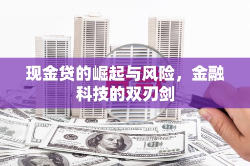 共和现金贷的崛起与风险，金融科技的双刃剑