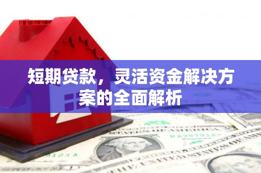 共和短期贷款，灵活资金解决方案的全面解析