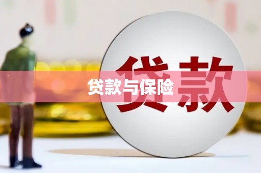 共和贷款与保险