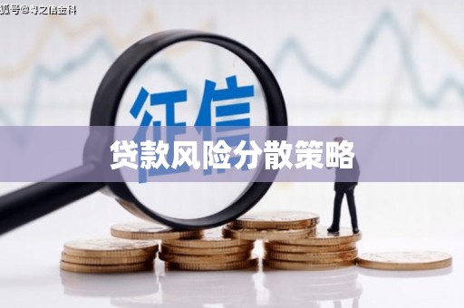 共和贷款风险分散策略