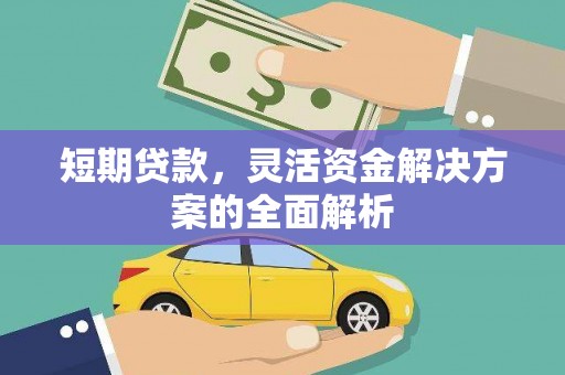 共和短期贷款，灵活资金解决方案的全面解析