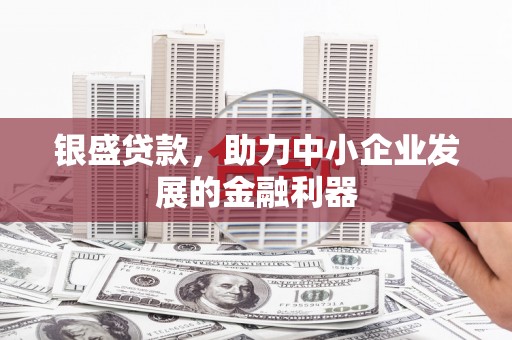共和银盛贷款，助力中小企业发展的金融利器