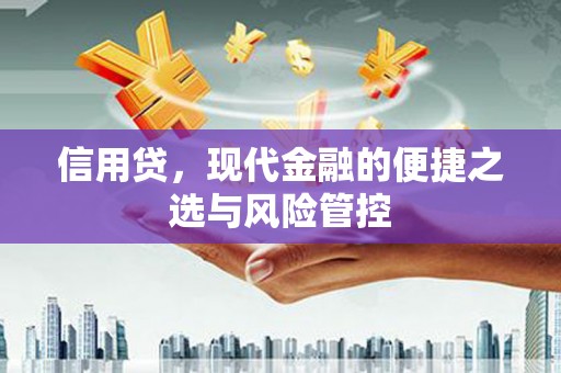 共和信用贷，现代金融的便捷之选与风险管控