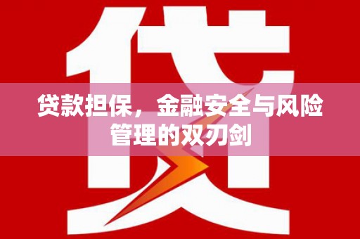 共和贷款担保，金融安全与风险管理的双刃剑