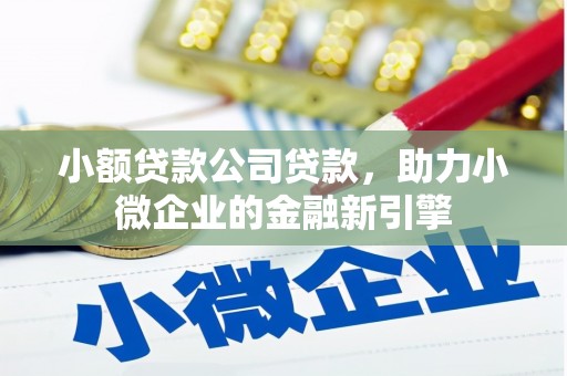 共和小额贷款公司贷款，助力小微企业的金融新引擎