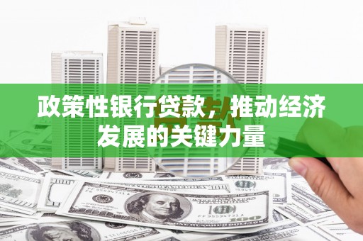 共和政策性银行贷款，推动经济发展的关键力量