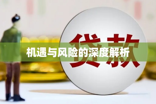 共和机遇与风险的深度解析