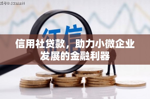 共和信用社贷款，助力小微企业发展的金融利器