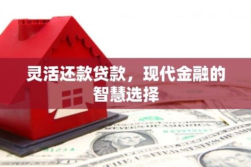 共和灵活还款贷款，现代金融的智慧选择