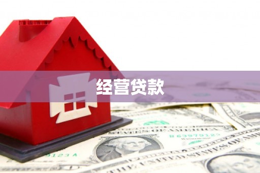 共和经营贷款