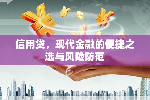 共和信用贷，现代金融的便捷之选与风险防范