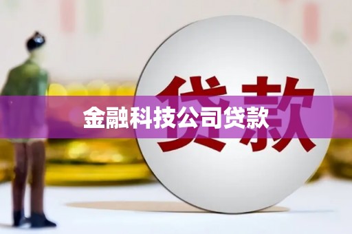 共和金融科技公司贷款